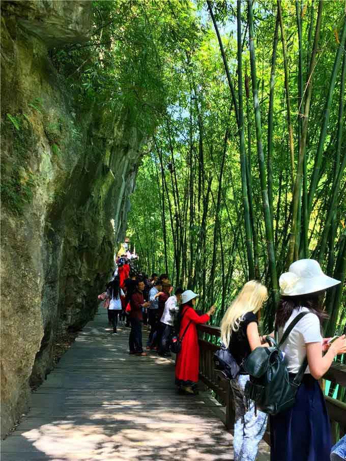 新澳彩资料免费资料大全33图库